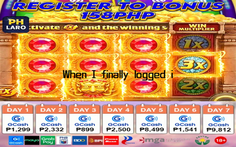 When I finally logged in successfully, I felt a sense of accomplishment